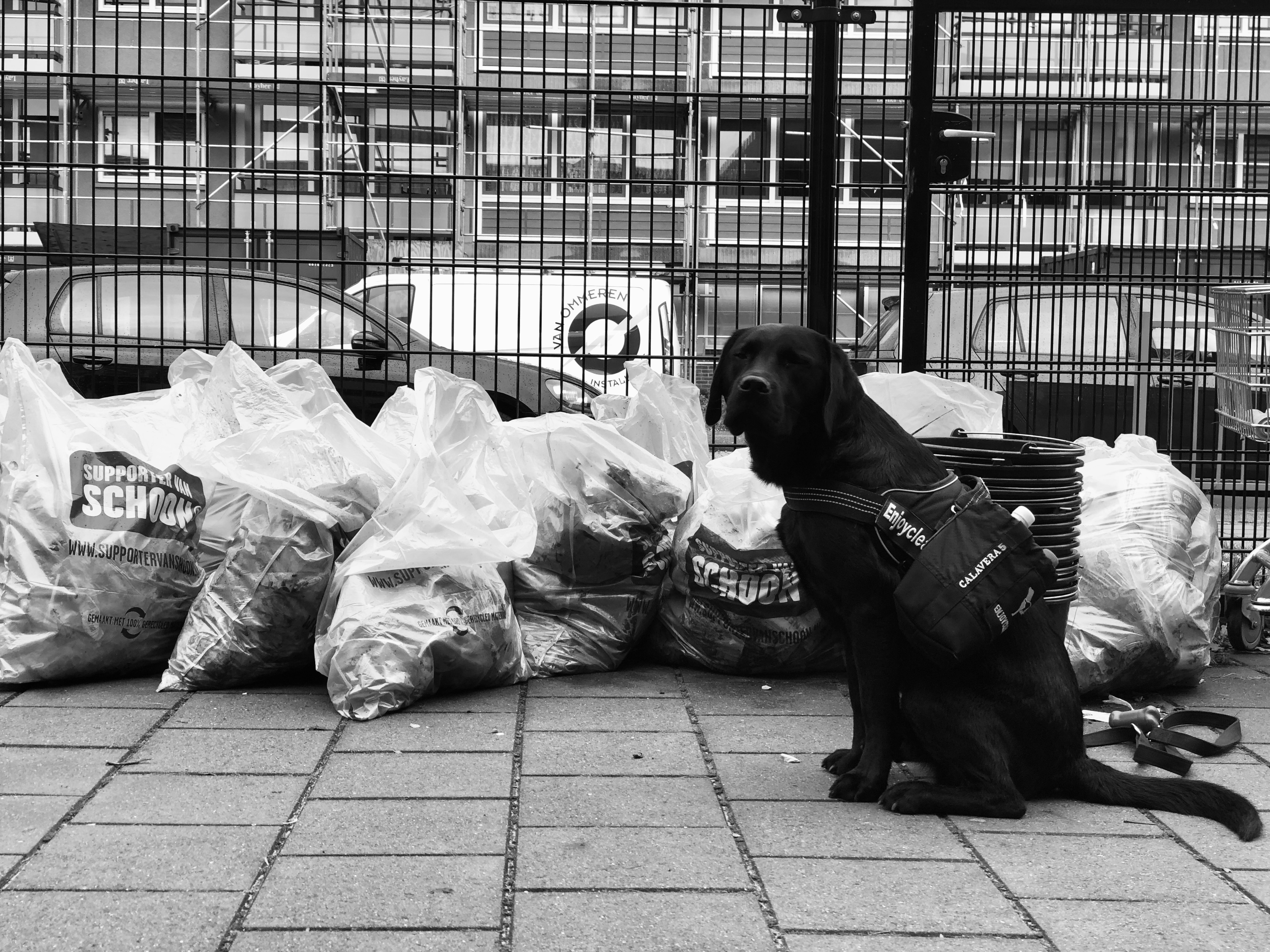 Cleanup met Pepsico