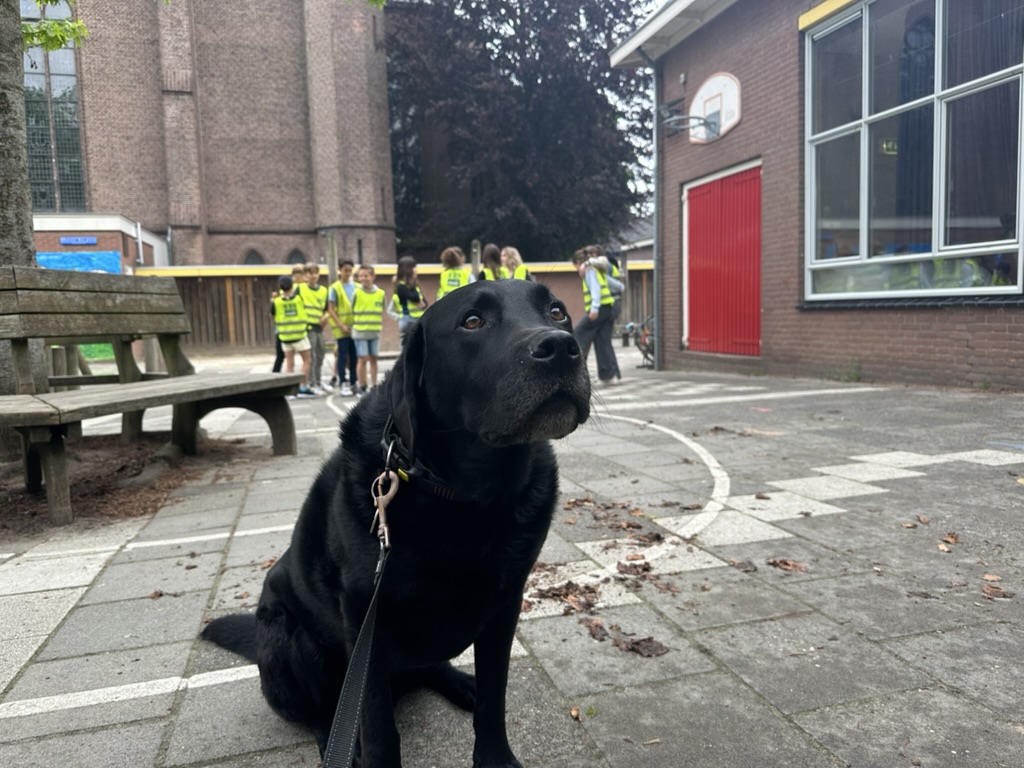 Week 20 - vol leuke momenten