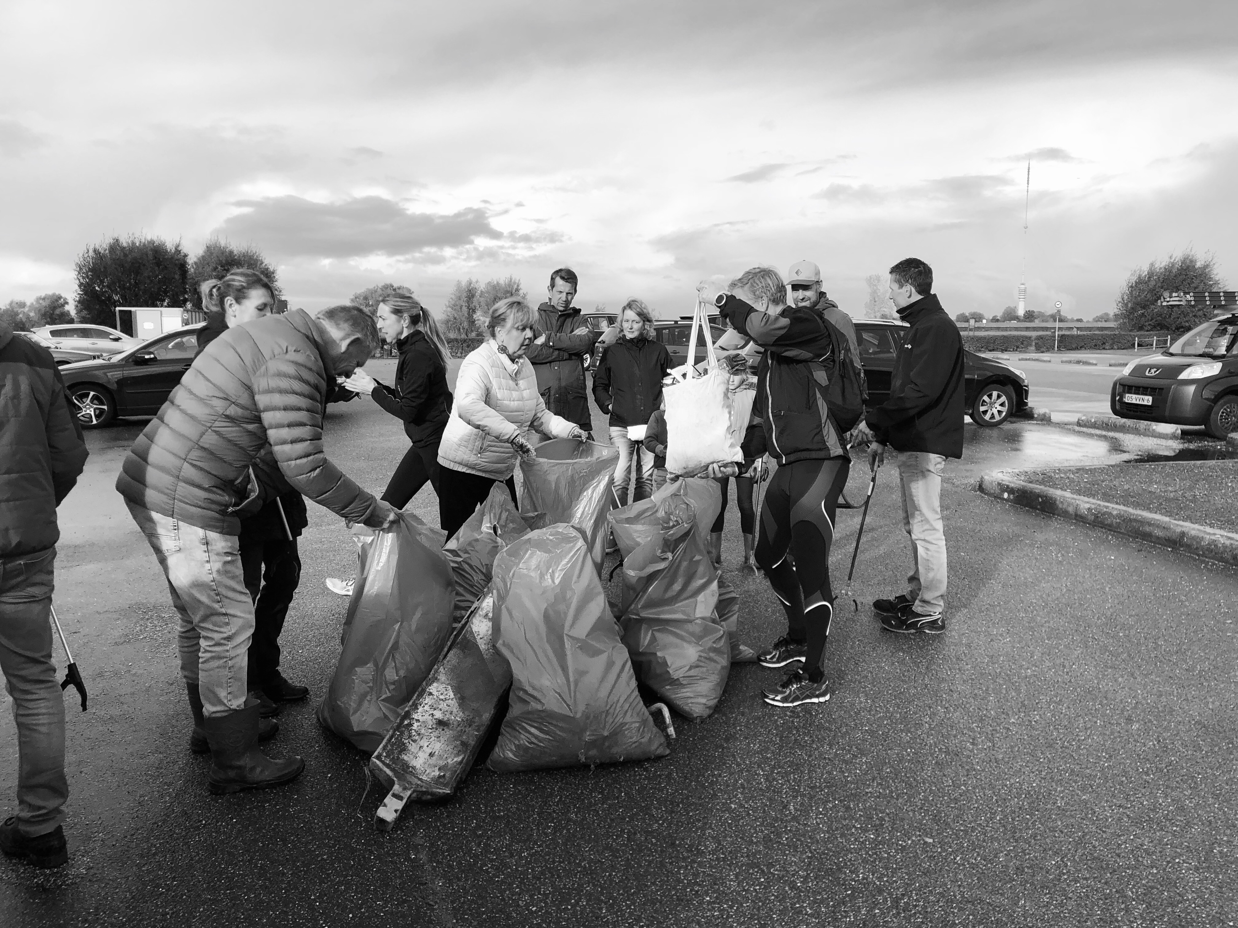 Cleanup Middelwaard