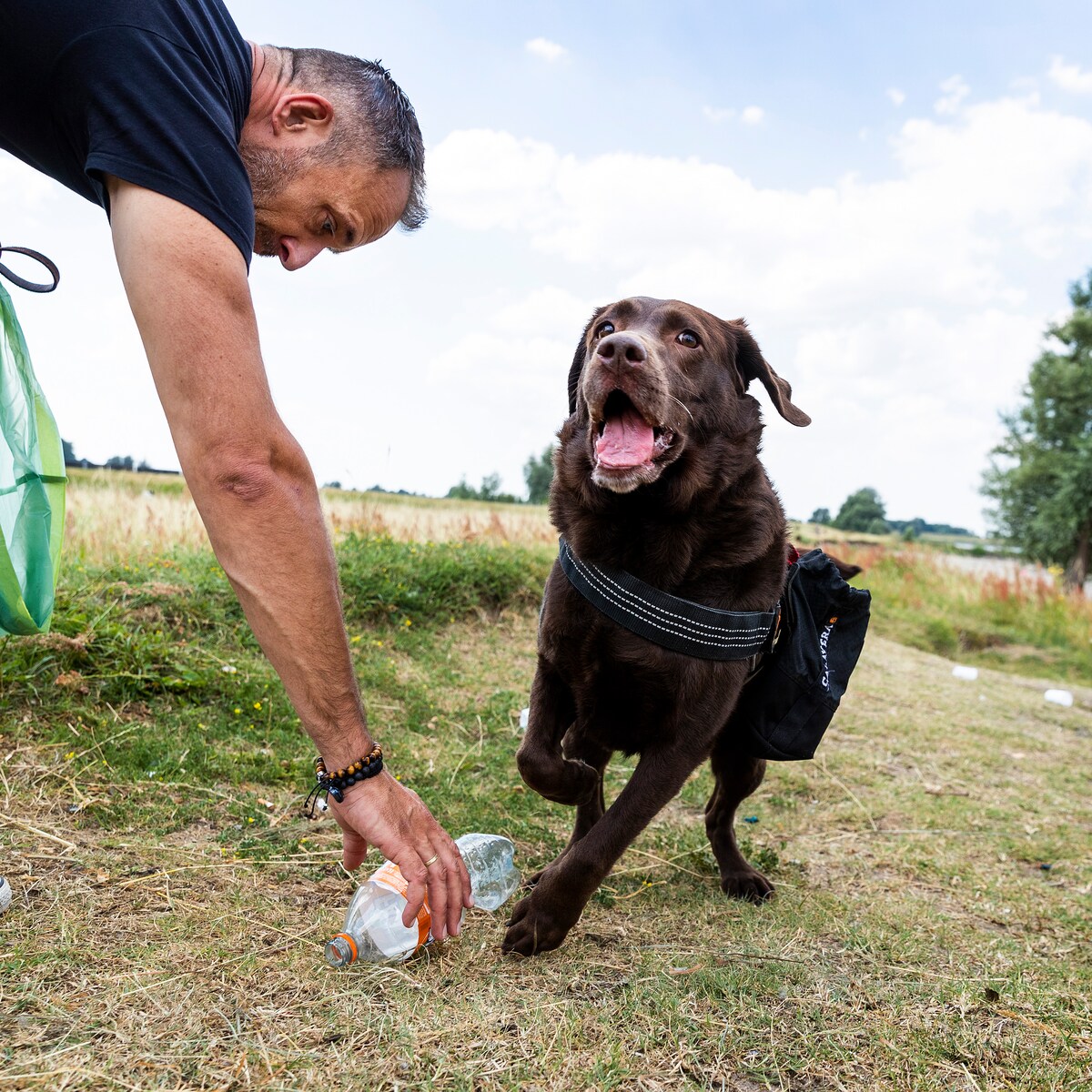 Hond traint veilig met een plastic fles