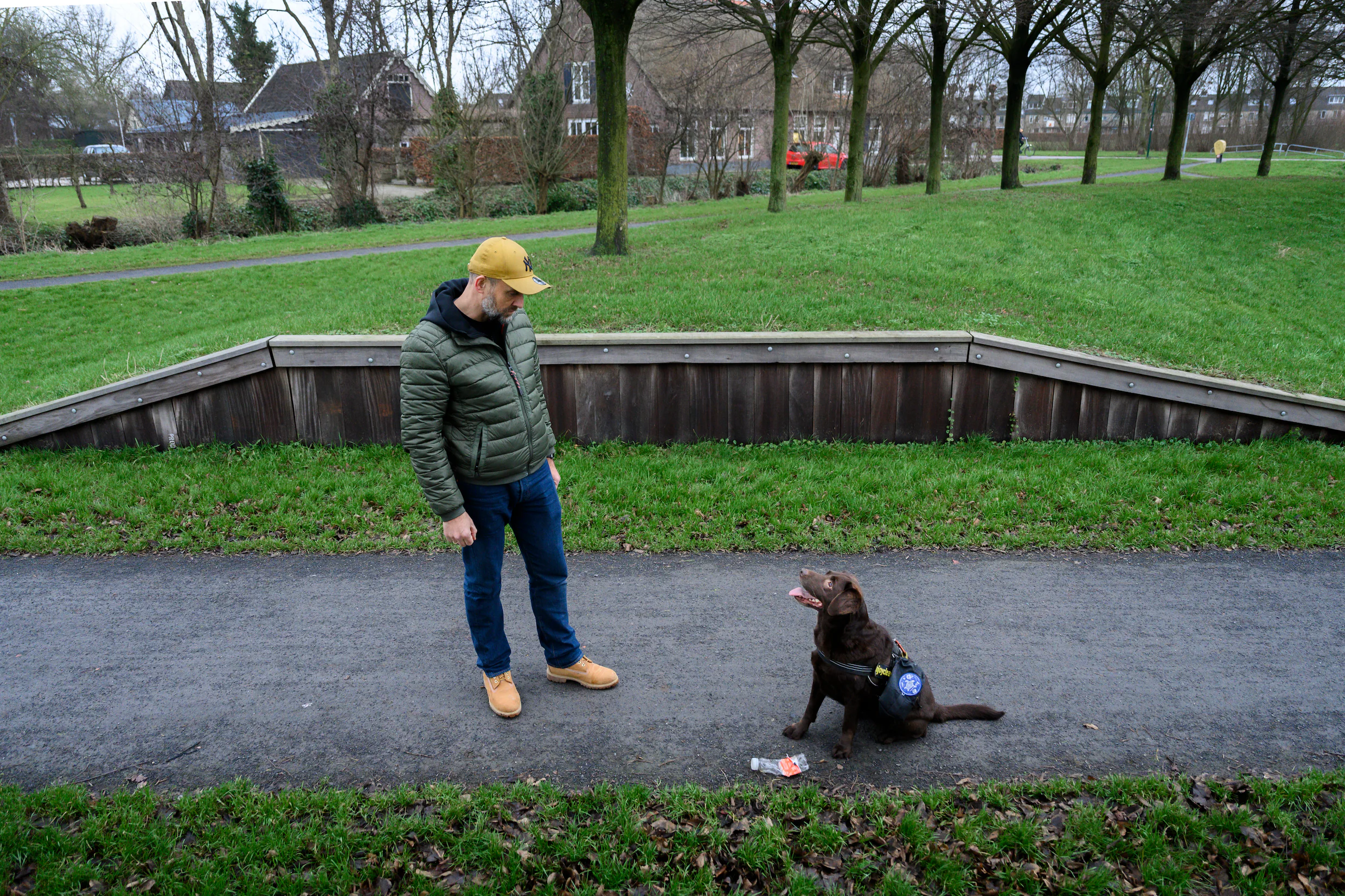 Hond zoekt naar afval in de natuur